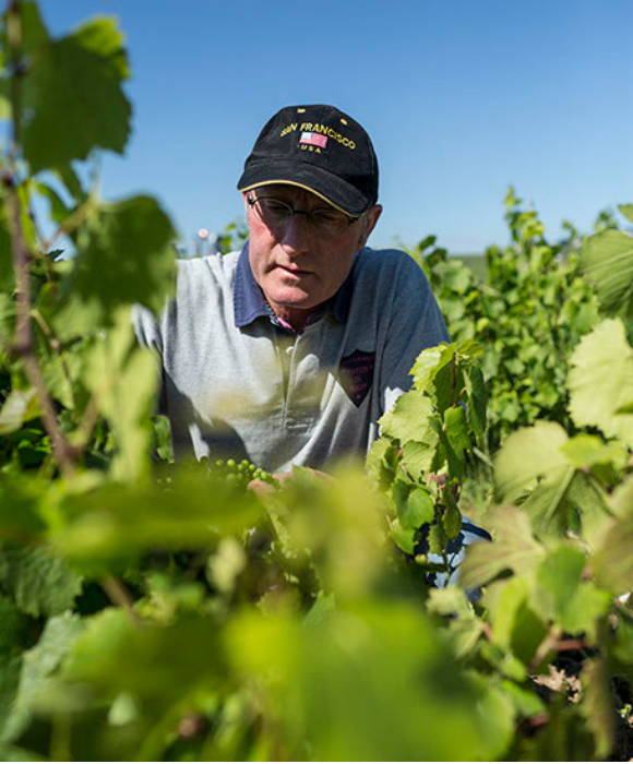 Domaine Paul Janin & Fils